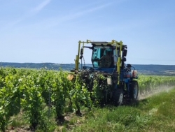 Champagne Alain NAVARRE - Vineyard Equipment in Action